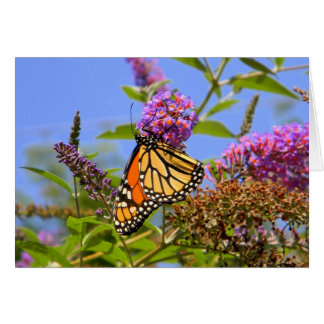 Lilac Butterfly Card