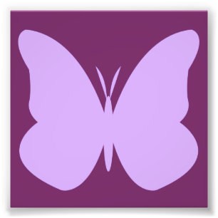 lilac butterfly photo print