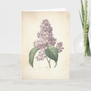 Lilac by Redoute Botanical Sympathy Card