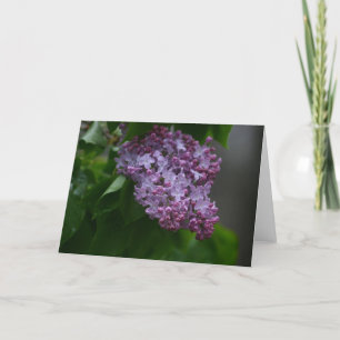 Lilac Card
