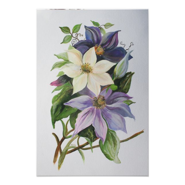 Lilac Clematis Vine Acrylic Painting Photo Print (Front)