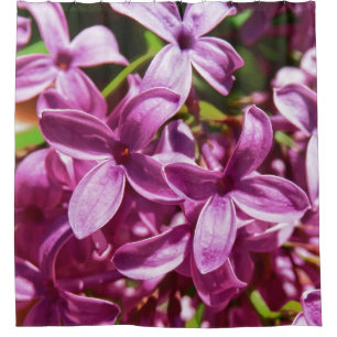 Lilac Closeup Shower Curtain
