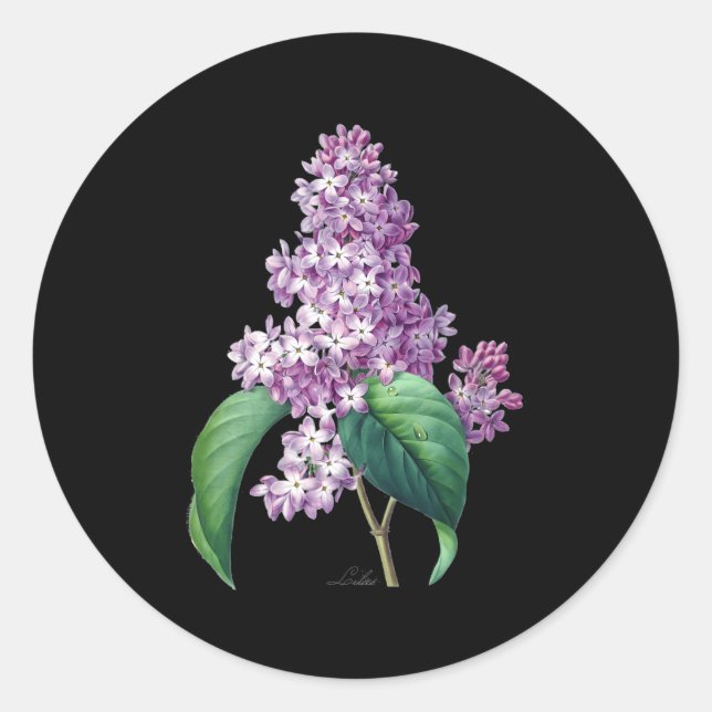 Lilac Flower Botanical For Gardeners Classic Round Sticker (Front)