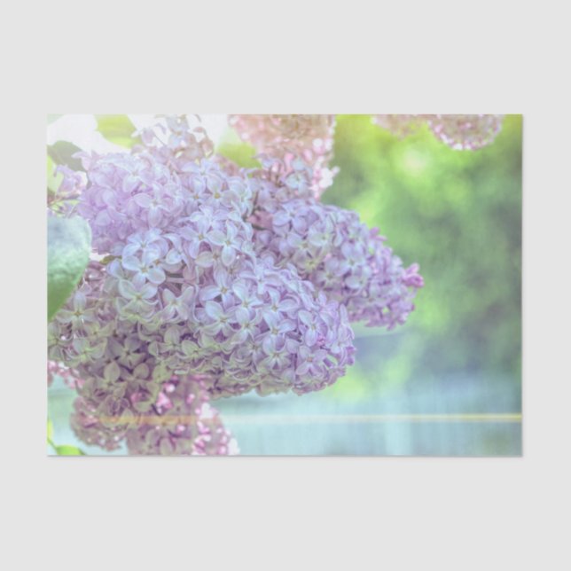 Lilac Flower Purple Beautiful Country Morning Sun Tissue Paper (Front)