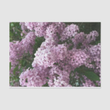 Lilac Flower Tissue Paper