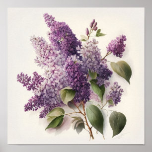 Lilac Flowers Art Print Poster