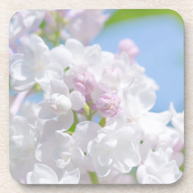 Lilac Flowers Coaster (Front)