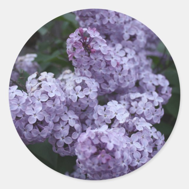 Lilac Flowers Sticker (Front)