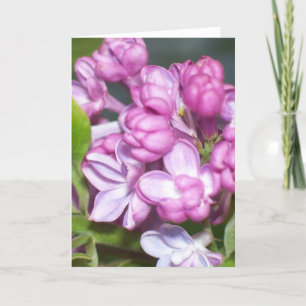 Lilac greeting card