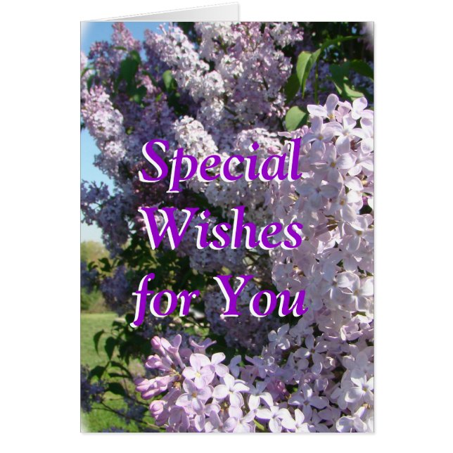 Lilac in bloom-customise for any occasion (Front)