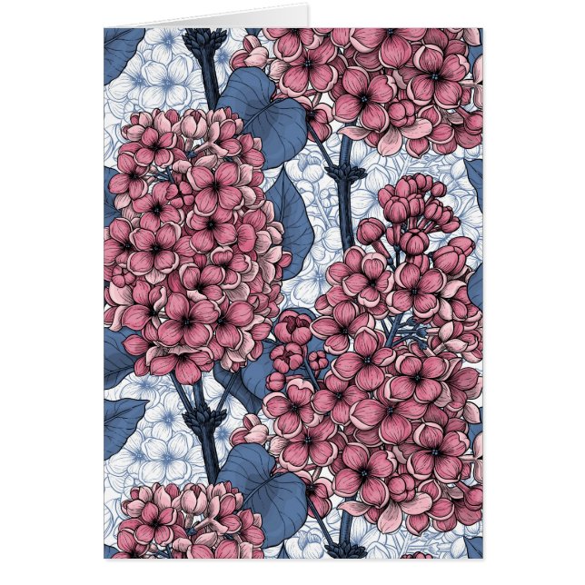 Lilac in pink and blue (Front)