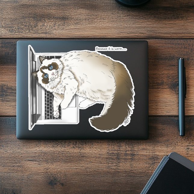 Lilac Laptop Cat Funny Cute (Creator Uploaded)