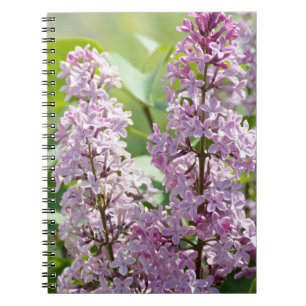 Lilac P5390 Notebook