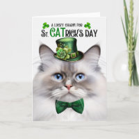 Lilac Point Ragdoll Lucky Charm St CATrick's Day