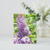 Lilac postcard (Standing Front)