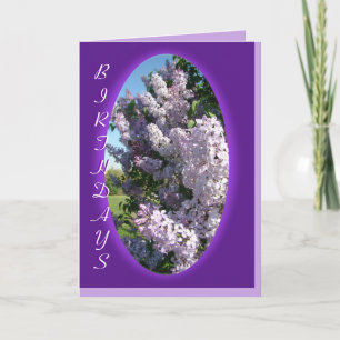 Lilac Purple Oval Birthday- customise any occasion Card