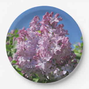 lilac, spring, blossom, purple, nature, floral, paper plate