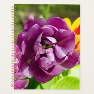 Lilac tulips on a sunny day planner