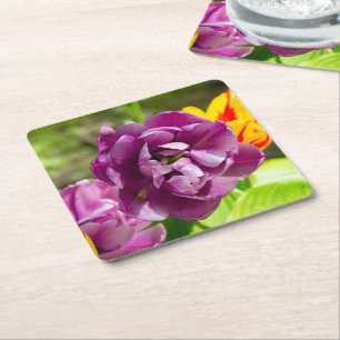 Lilac tulips on a sunny day square paper coaster