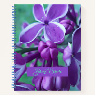 Lilac variety of colours notebook