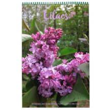Lilacs---ALL LILACS!! photo calendar