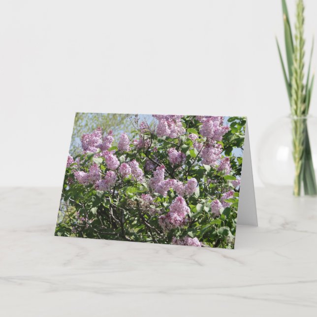 Lilacs Card (Front)