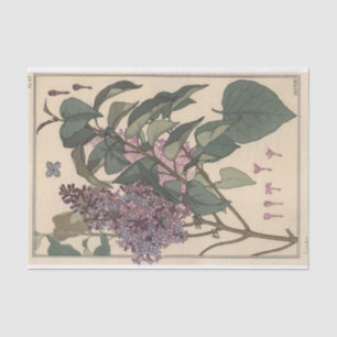 Lilacs, Eugene Grasset Botany Series Tissue Paper