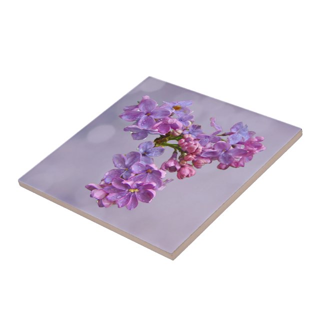 Lilacs in Springtime Tile (Side)