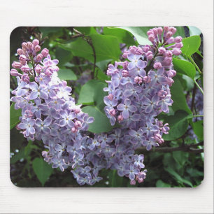 Lilacs Mouse Pad