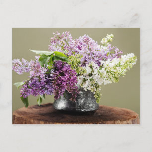 lilacs postcard