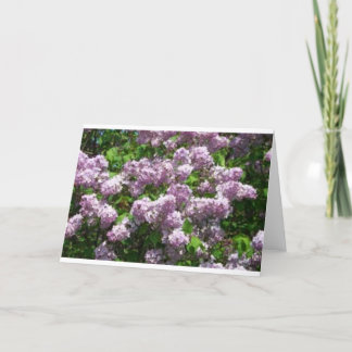 Lilacs Thank You Card