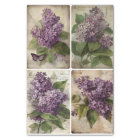 Lilacs