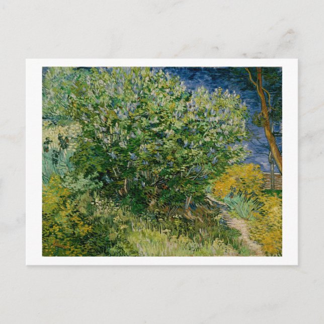 Lilacs, Vincent van Gogh Postcard (Front)