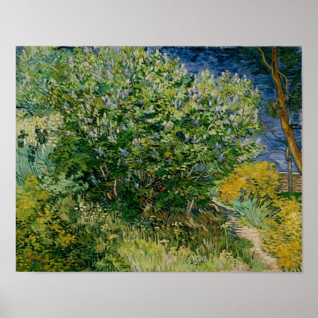 Lilacs, Vincent van Gogh Poster (Front)