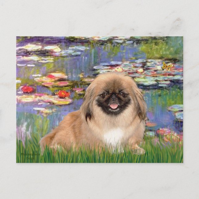 Lilies2- Pekmingese1 Postcard (Front)