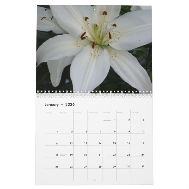 Lilies - 2014 Calendar (Jan 2026)