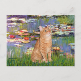 Lilies 2 - Orange Tabby cat 46 Postcard