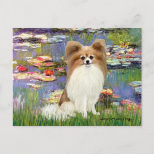Lilies 2 - Papillon 4 Postcard
