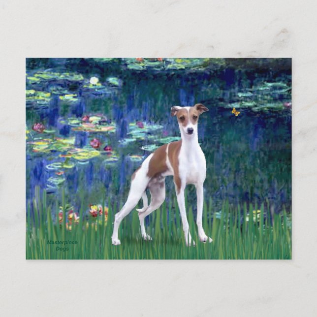 Lilies 5 - Italian Greyhound Postcard (Front)