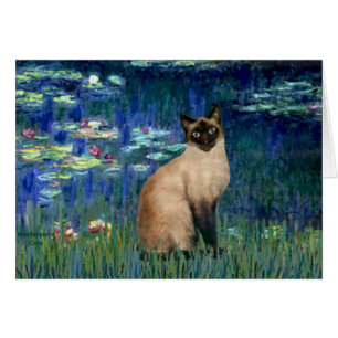 Lilies 5 - Seal Point Siamese cat