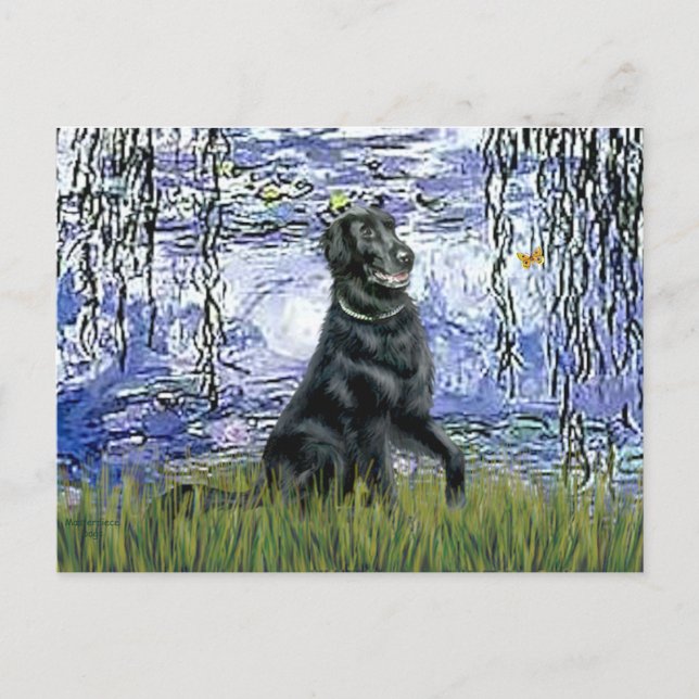 Lilies 6 - Flat Coated Retriever 2 Postcard (Front)