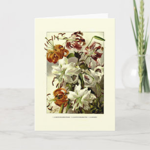 Lilies Card