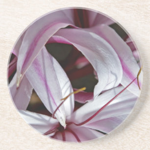 Lilies Coaster