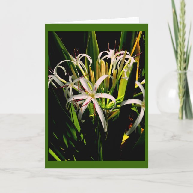 Lilies Greeting Card (Front)