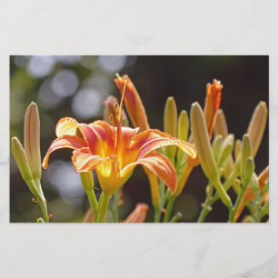 Lilies in the Sunshine Stationery