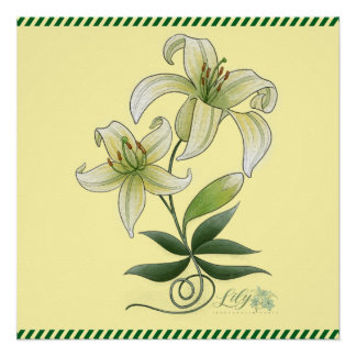 Lilies Poster