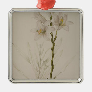 Lilium Candidum, from `Les Liliacees', 1807 Metal Tree Decoration