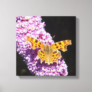 Lillic Flower with a butterfly on it  Canvas Print