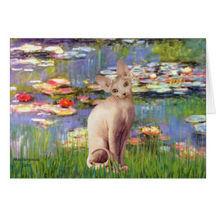 Lillies 2 - Cream Sphynx cat