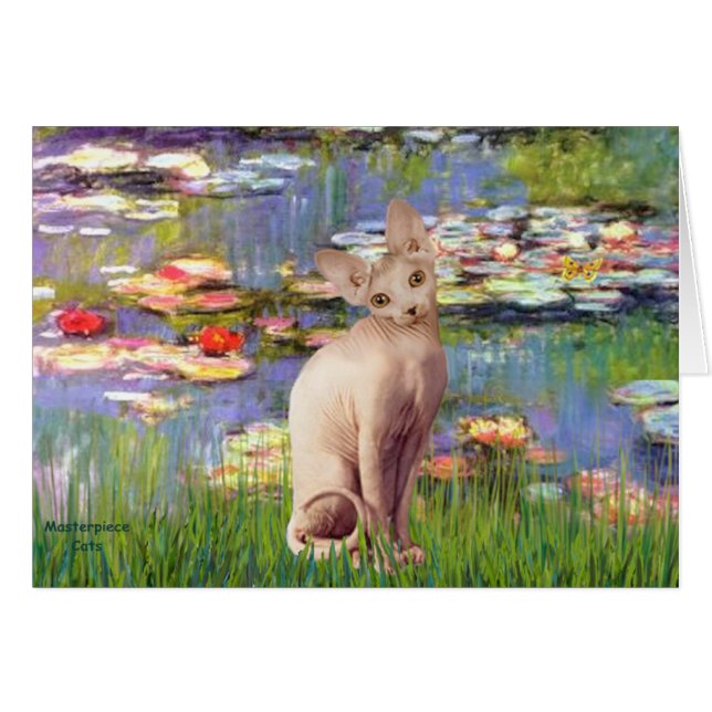 Lillies 2 - Cream Sphynx cat (Front Horizontal)